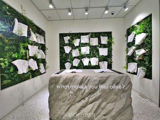 서울등산관광센터 관악산/사진-투어코리아