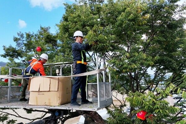 윤경희 청송군수가 사과 조형물을 직접 설치하고 있다./사진-청송군