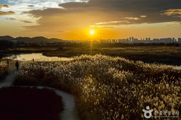 갯골생태공원 /사진-한국관광공사