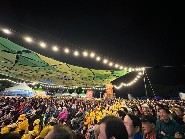 청도반시축제 야경 모습./사진-청도군