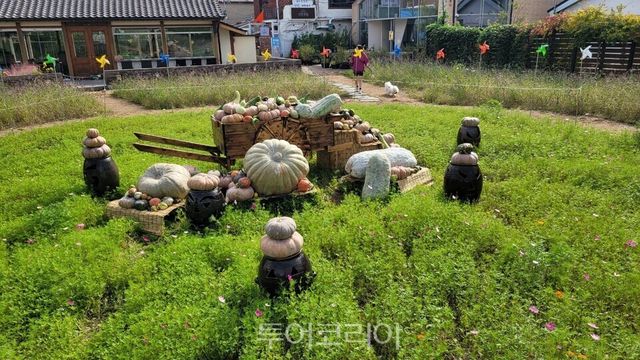 ‘호박 포토존’ 11월 15일까지 운영/사진=수원시