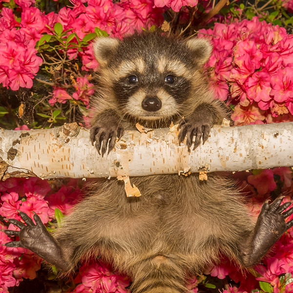 네이처파크 /사진-네이버 플레이스 업체 등록