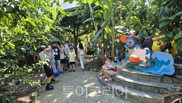 포켓몬 원더 아일랜드 in JEJU 모습. /사진-제주관광공사