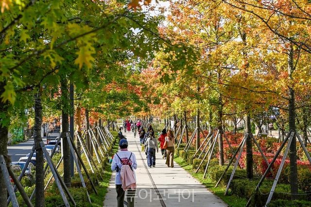 치악산 바람길숲 / 사진-원주시