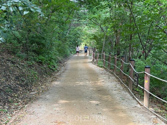 숲이 품은 도시, 힐링이 머무는 태백 /사진=태백시