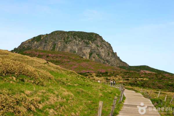한라산 /사진제공-한국관광공사