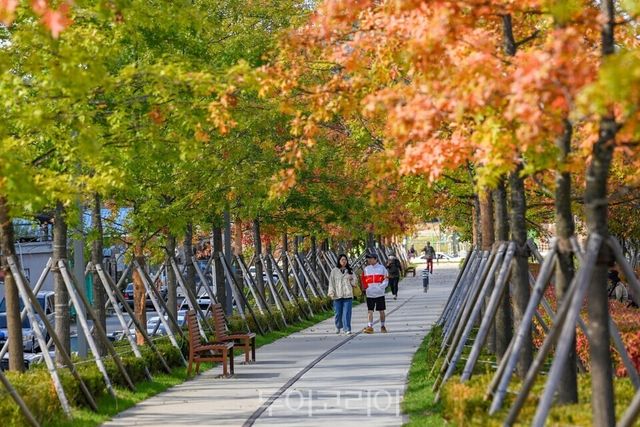 치악산 바람길숲 / 사진-원주시