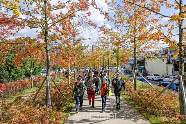 치악산 바람길숲 / 사진-원주시