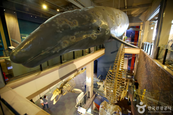장생포고래박물관 /사진제공-한국관광공사