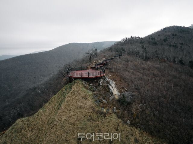 숲이 품은 도시, 힐링이 머무는 태백 /사진=태백시