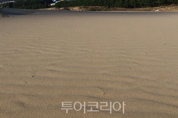 옥죽동 해안사구 전경.2025.10.22. / 투어코리아 이창호 기자​