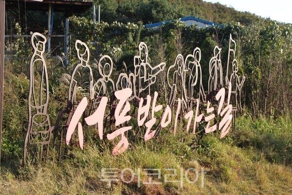 서풍받이 트레킹 코스.&nbsp;2025.10.22. / 투어코리아 이창호 기자​