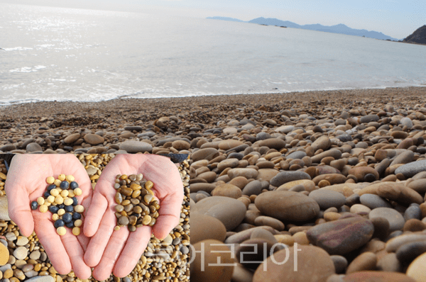 콩돌 해안 전경. 2025.10.24. / 투어코리아 이창호 기자