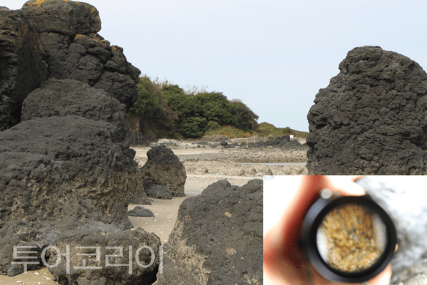 진촌리 현무암 전경.&nbsp;2025.10.24. / 투어코리아 이창호 기자