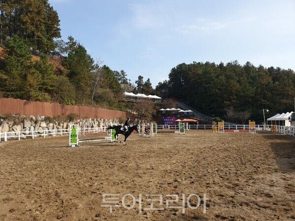 제3회 양평군수배 승마대회/투어코리아뉴스 김경남 기자