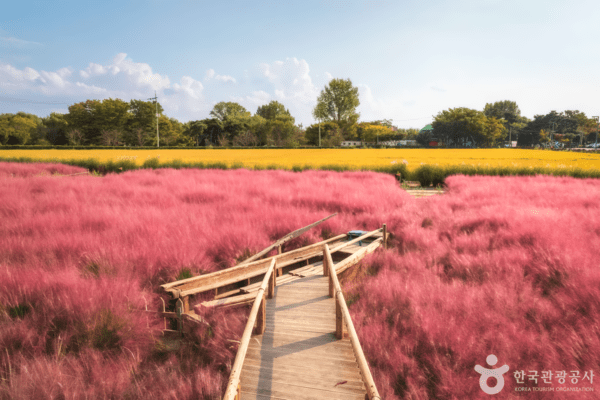 바람새마을 /사진제공-한국관광공사