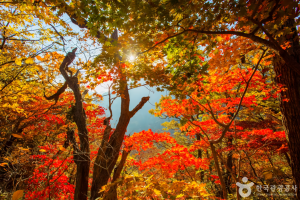 내장산 /사진제공-한국관광공사