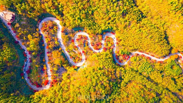 보발재 단풍 /사진－단양군