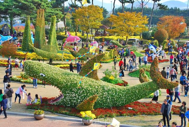 거제섬꽃축제 / 사진-거제농업기술센터