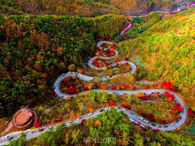 보발재 단풍 /사진－단양군