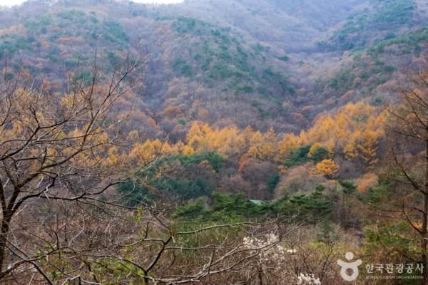오서산 /사진제공-한국관광공사