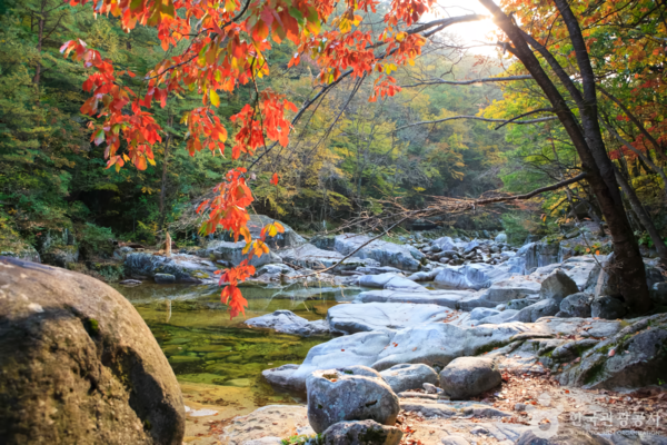 오대산 /사진제공-한국관광공사