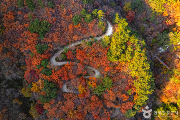 소백산 /사진제공-한국관광공사