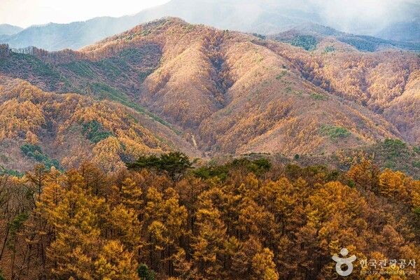 춘천 삼악산 호수케이블카 /사진제공-한국관광공사