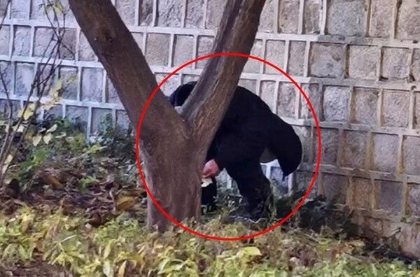 ▲SNS 캡쳐 화면. /사진-서경덕 성신여대 교수