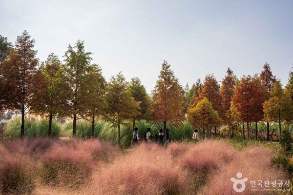 청산수목원&nbsp;/사진제공-한국관광공사