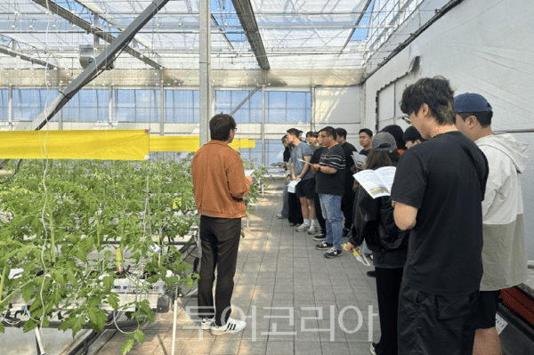 자료사진. /사진-광주시