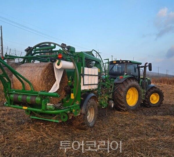 야생갈대 수거작업/사진=경기도