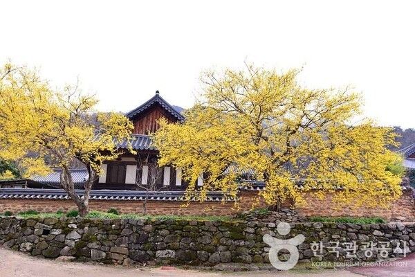 조계산 /사진제공-한국관광공사