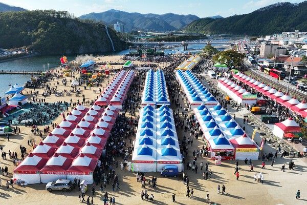 청송사과축제장 전경./사진-청송군