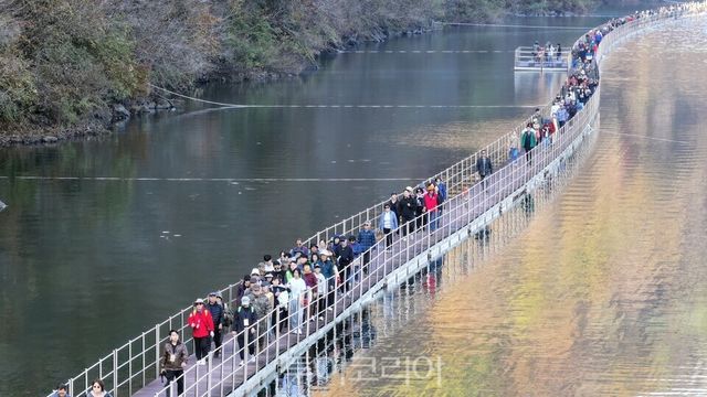 화천 산소길 걷기 행사/사진=화천군