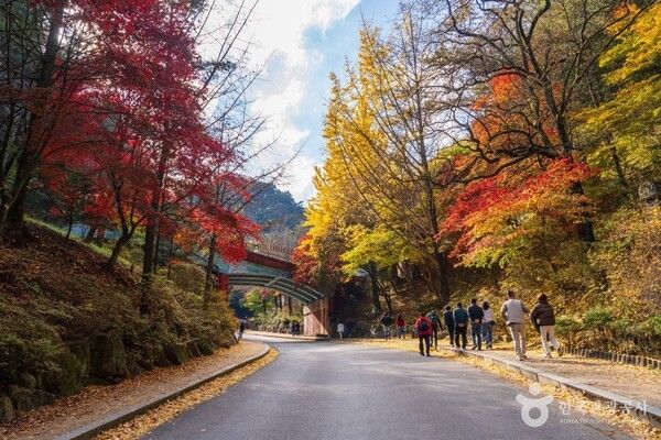 구인사 /사진제공-한국관광공사
