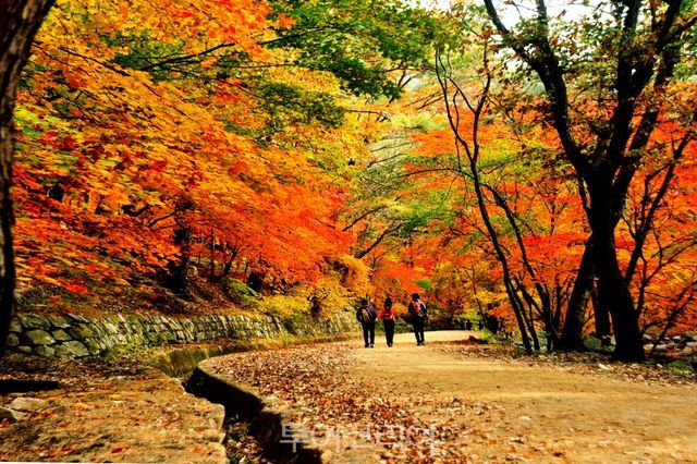 문경새재 길/사진-문경시