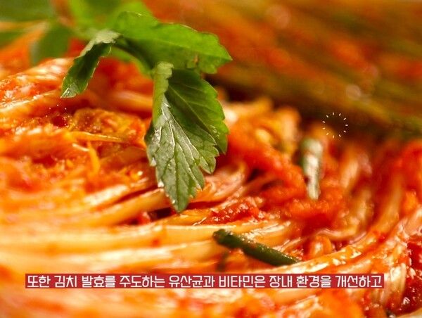 ▲김치 영상 모습.