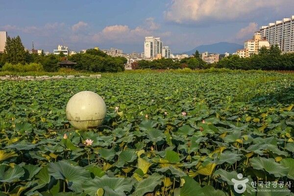 운천저수지 /사진제공-한국관광공사