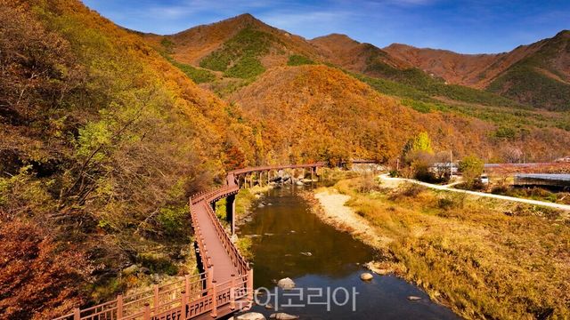 월류봉 둘레길 코스 영동군 제공