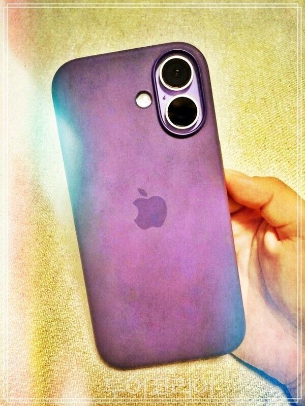 사진은 기사 내용과 관련이 없음