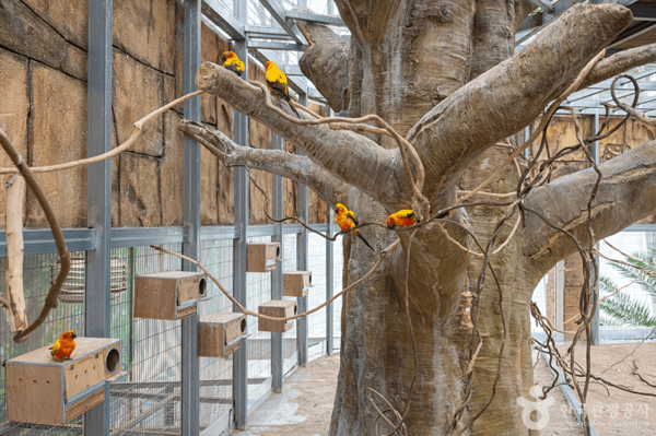 오산버드파크&nbsp;&nbsp;/사진제공-한국관광공사