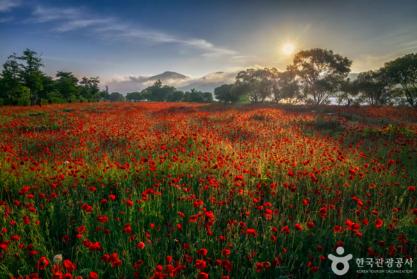 물의정원 /사진제공-한국관광공사