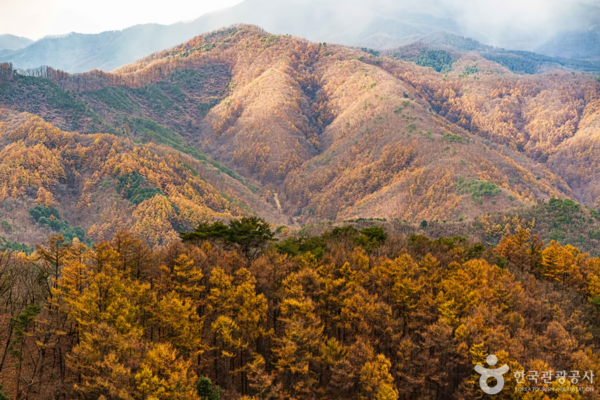 춘천 삼악산 호수케이블카 /사진제공-한국관광공사