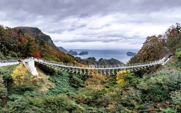 울릉 울렁다리(사진제공=울릉군청)