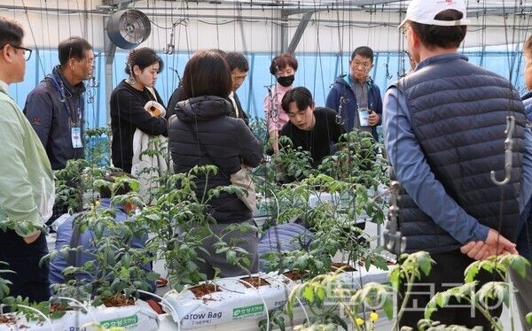 ▲청양군농업기술센터 테스트베드에서 실습 교육 중인 교육생들 모습. /사진-청양군