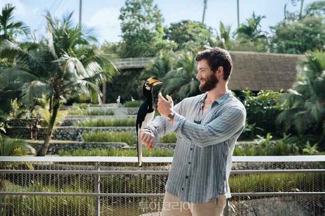 버드 파라다이스의 쿠옥 그룹 윙스 오브 아시아 구역 내 대형 체험형 조류장에서 배우 데이비드 코런스웻이 싱가포르 토착종 오리엔탈 흰뺨큰뿔새 ‘샐리’와 함께 포즈를 취하고 있다/사진-싱가포르관광청