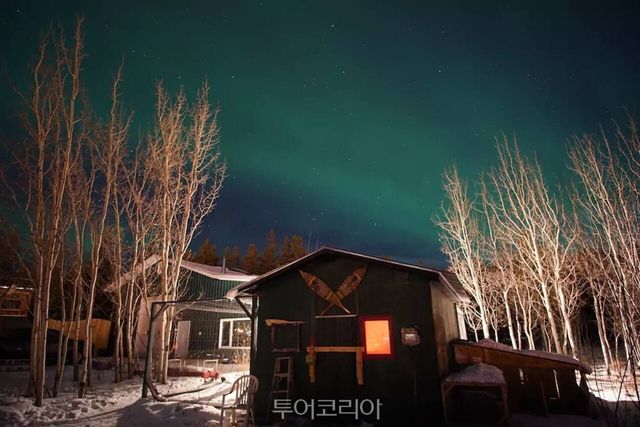 캐나다 유콘 리버 팜/사진-부킹닷컴