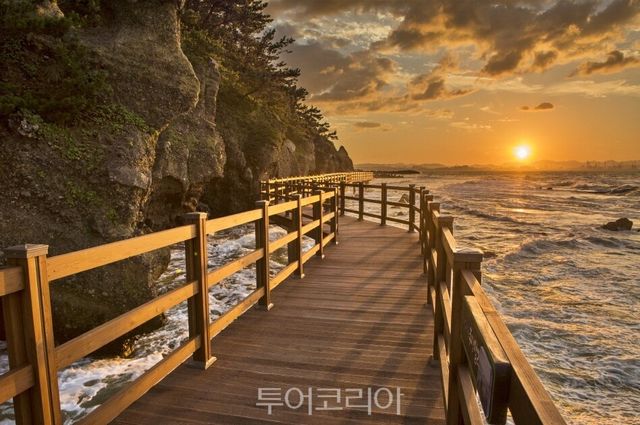 포항 호미반도 해안둘레길/사진-포항시