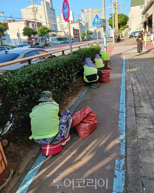 노인역량활용 선도모델 사업 모습. /사진-여수시